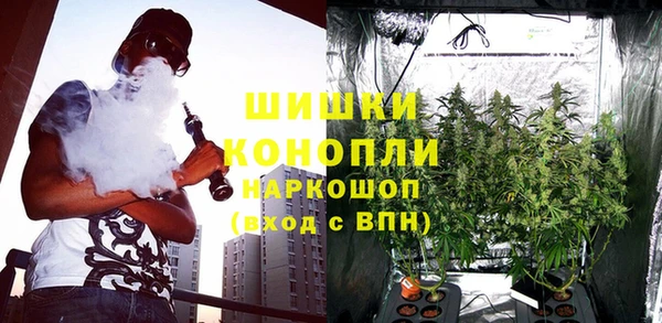 spice Гусиноозёрск
