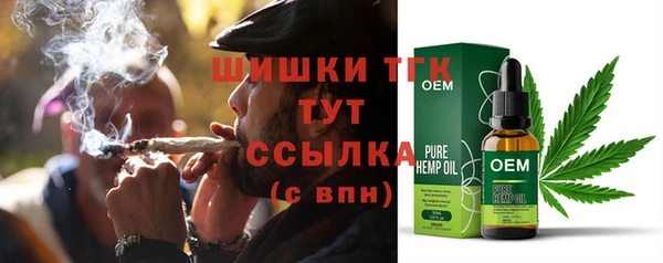 spice Гусиноозёрск