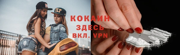 ALPHA-PVP Гусев