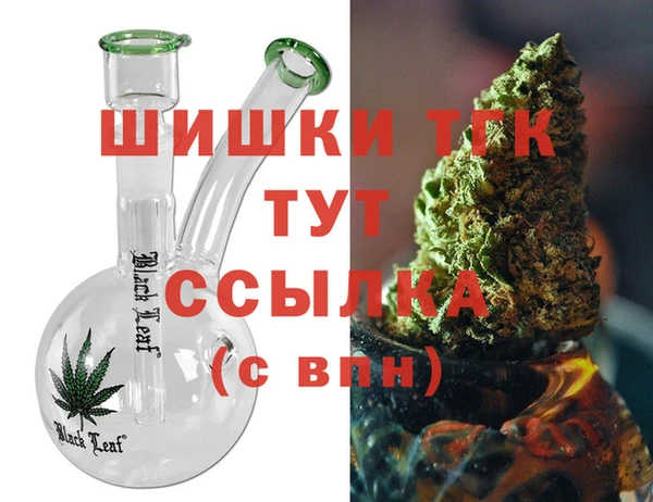 apvp Гусь-Хрустальный