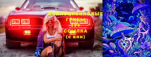 spice Гусиноозёрск
