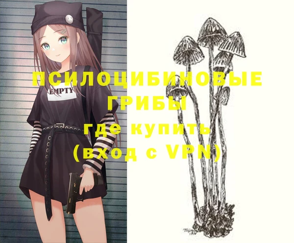 spice Гусиноозёрск