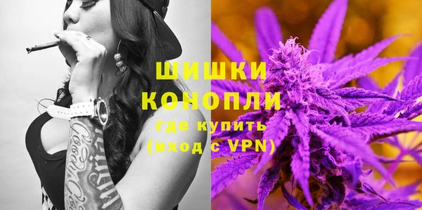 apvp Гусь-Хрустальный