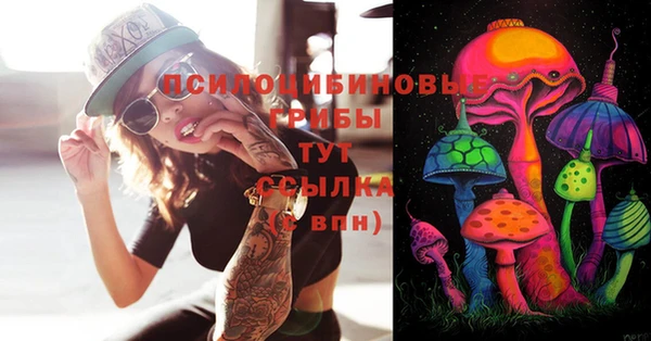 spice Гусиноозёрск