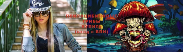 spice Гусиноозёрск
