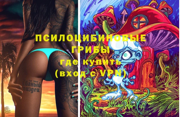 apvp Гусь-Хрустальный