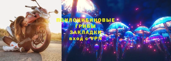 spice Гусиноозёрск