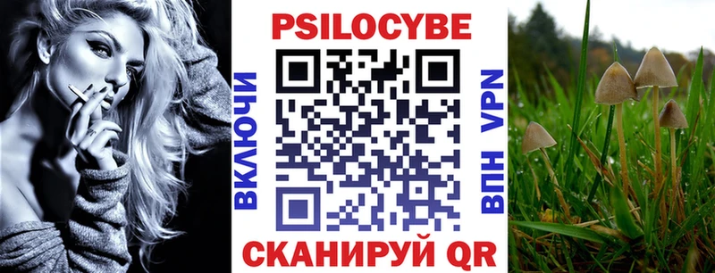 Купить где  Коряжма  Псилоцибиновые грибы Psilocybe 